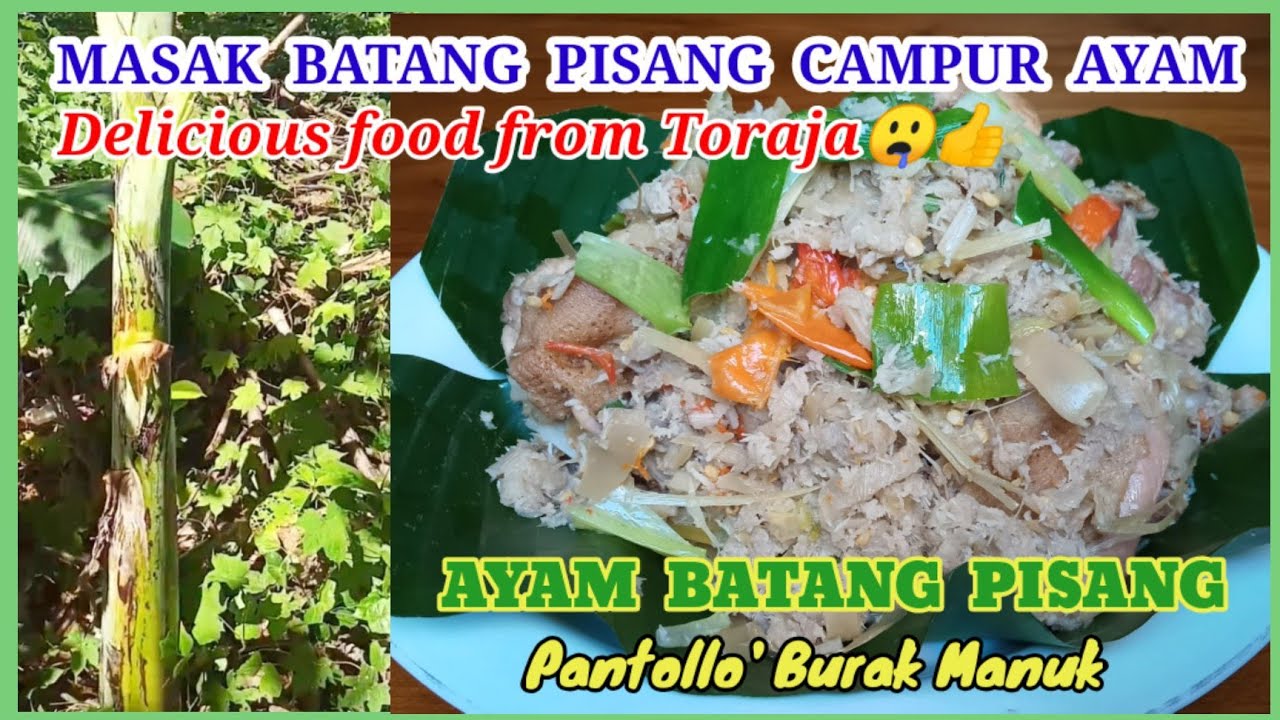 RESEP MASAK AYAM BATANG PISANG||PANTOLLO' BURAK MANUK KHAS TORAJA