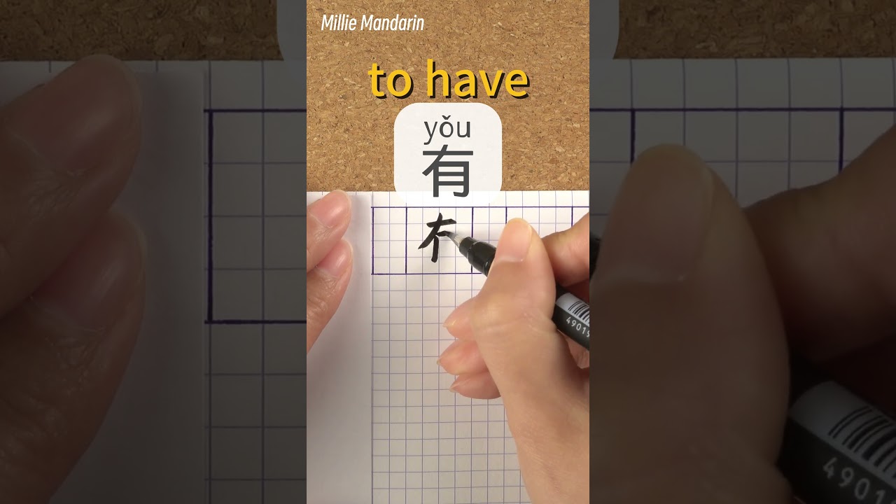 You: TO HAVE⎮Calligraphy⎮Handwriting⎮Hanzi⎮Learn Chinese Character⎮Write and Read Chinese