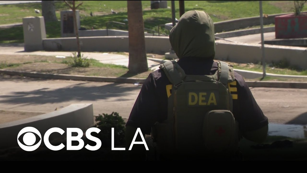DEA and LAPD continue drug crackdown operation in MacArthur Park