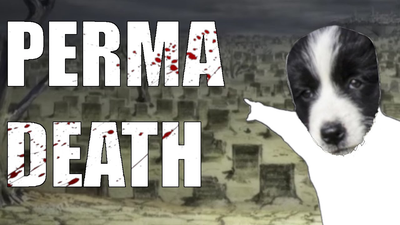 Why Permadeath is More Than Just Functionality