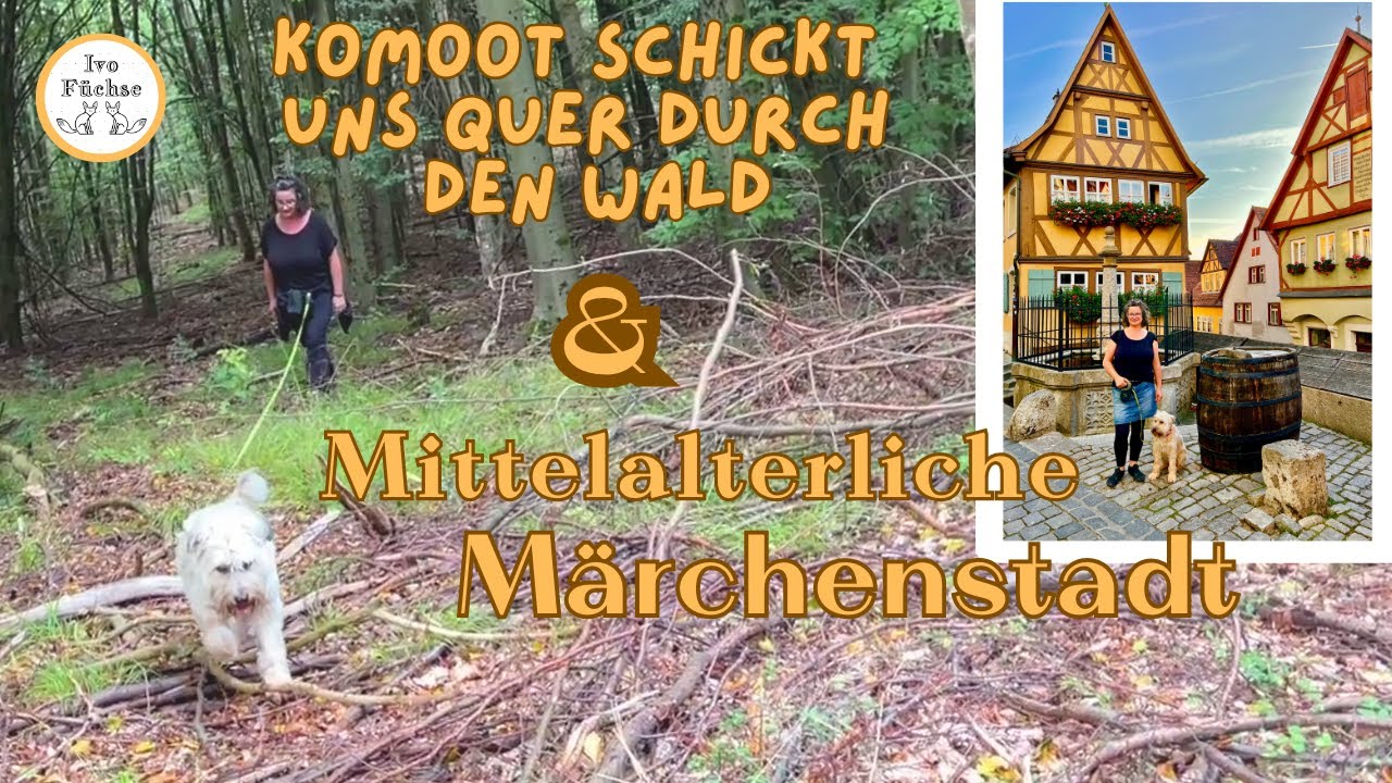 Leben im Wohnmobil / Neues von uns / Drachenschlucht / Mittelalter und Waschsalon /Vlog #34/23