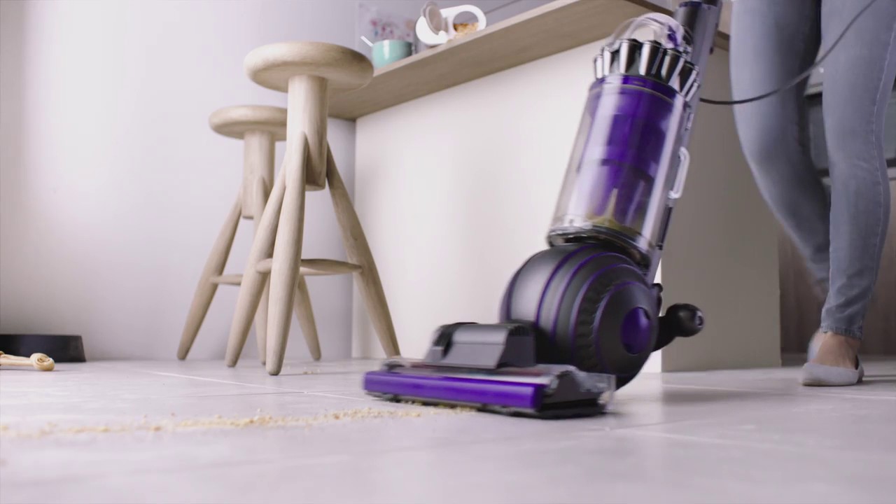 Dyson Ball Animal 2