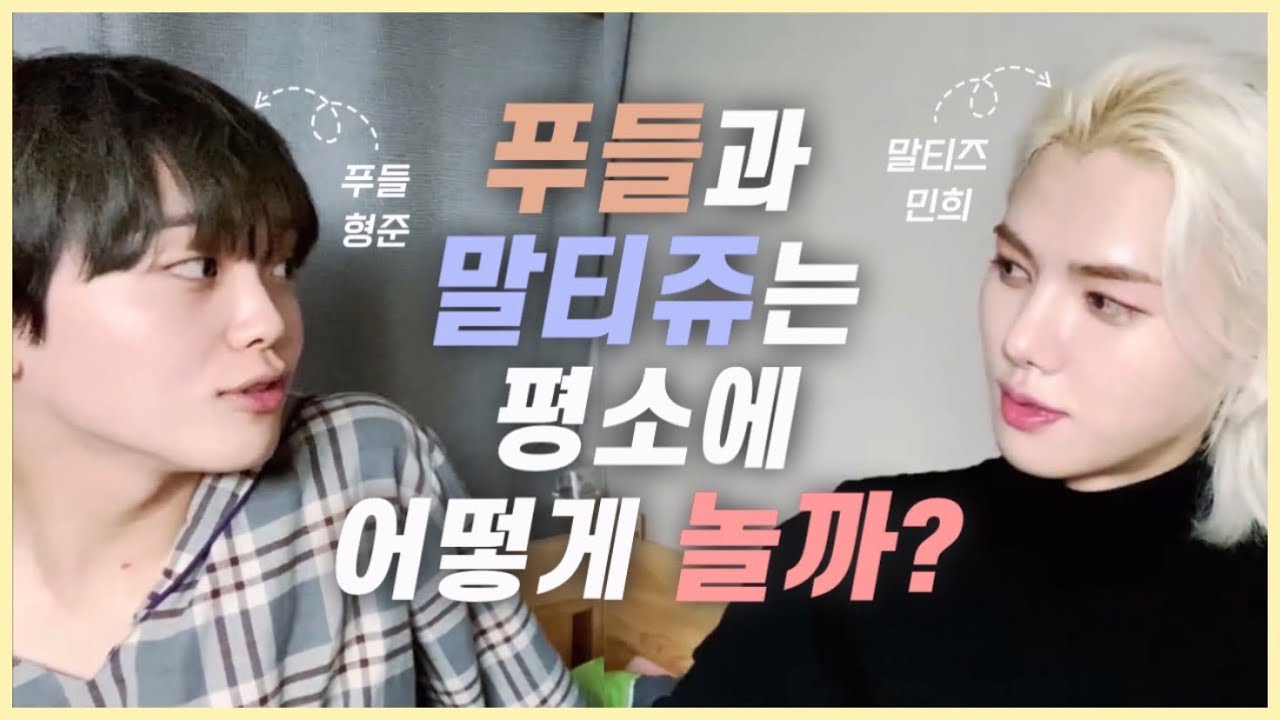 [크래비티/강쥐즈] 푸들과 말티쥬는 평소에 어떻게 놀까?