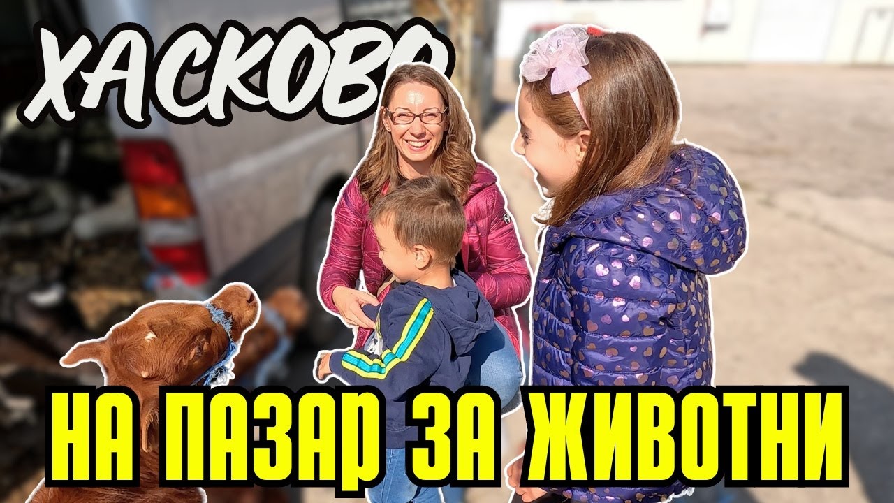 На пазар за животни в град Хасково | ПАЗАРИ И БИТАЦИ В БЪЛГАРИЯ