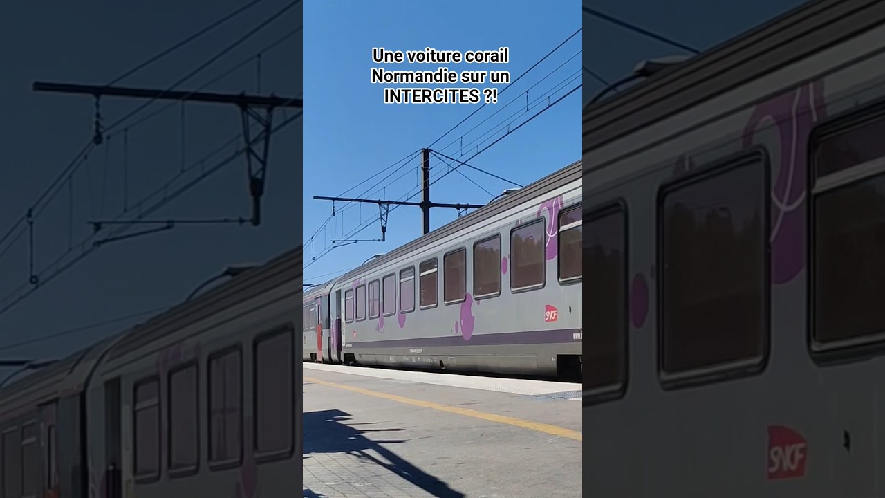 INTERCITES &agrave; destination de Marseille Saint Charles #train #spot #trainspotting