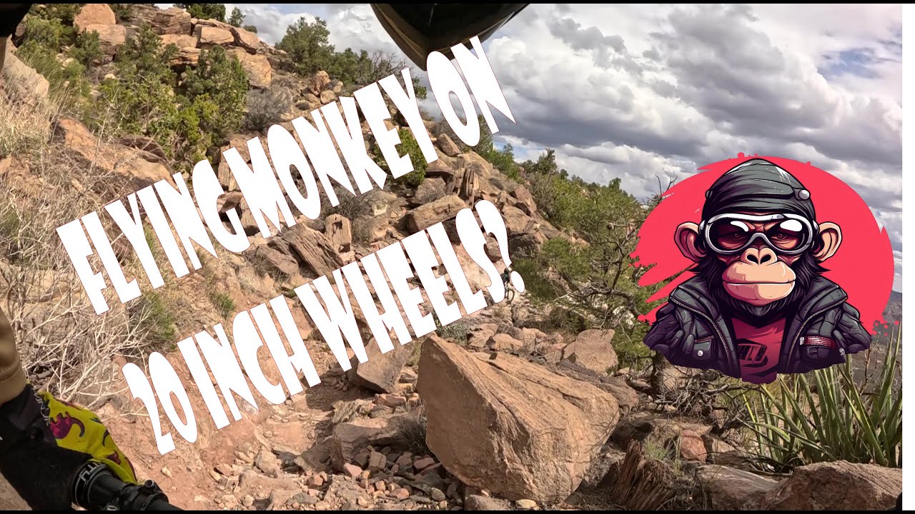 Flying Monkey on a 20 Inch????