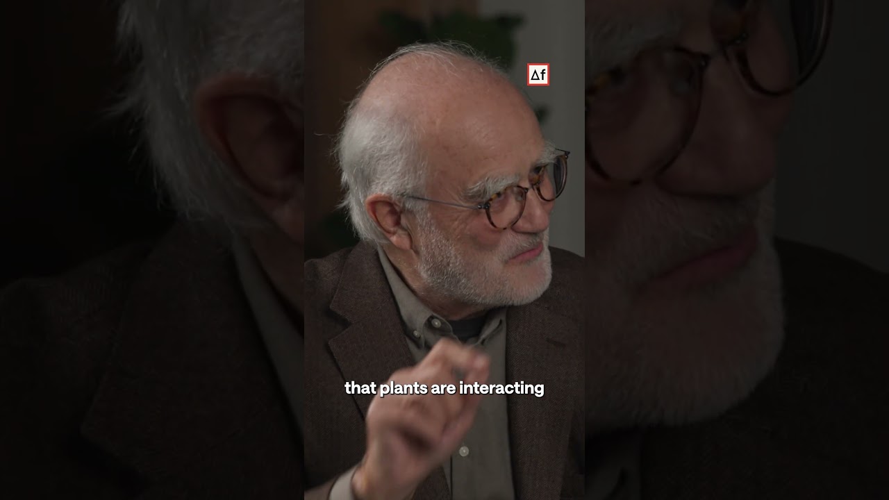 Do Plants Have Consciousness? Stephen Batchelor Responds #berggrueninstitute #futurology #podcast