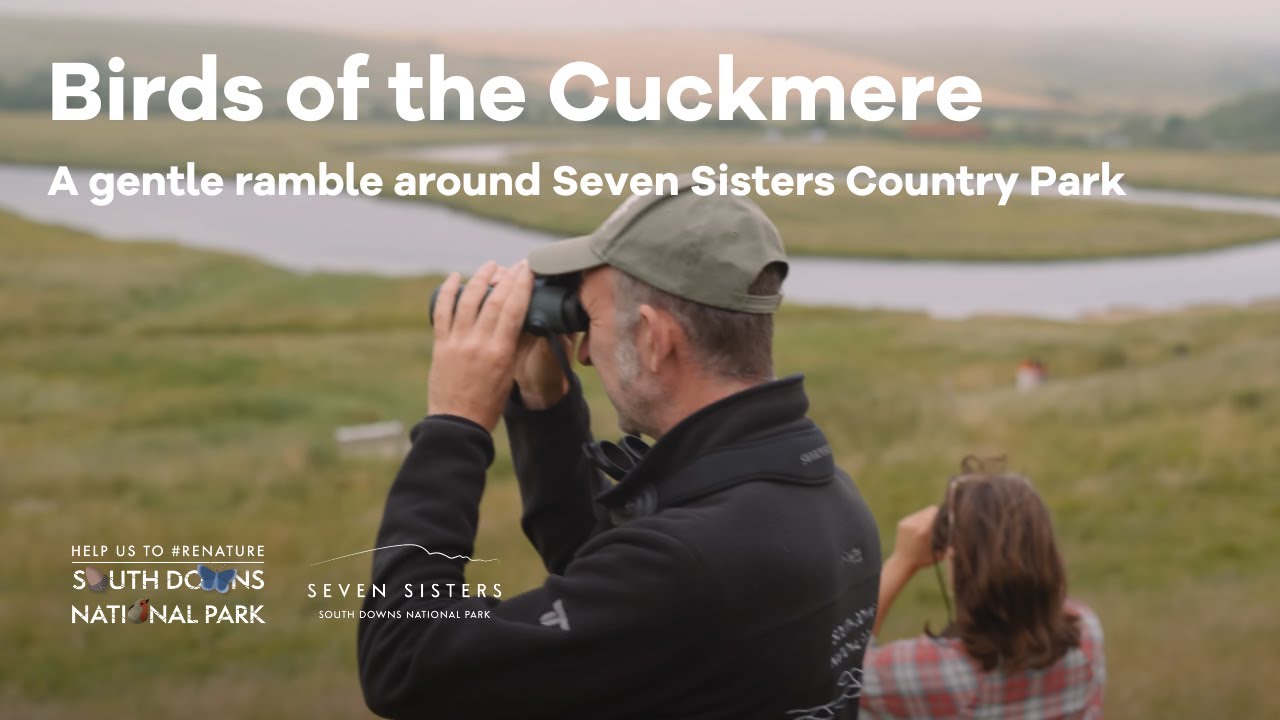 Birds of the Cuckmere: a gentle ramble around Seven Sisters Country Park