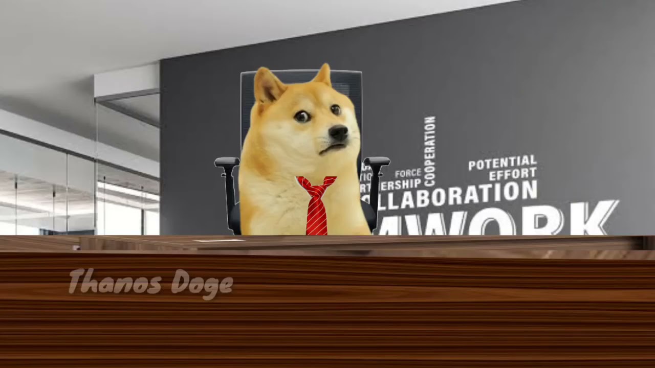 How NoT to give a job interview  Thanos Doge  Business job interview went wrong 😂 &copy; Trimohan Vijay