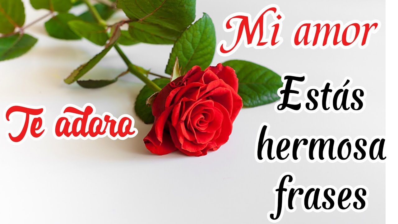 Siempre quise dedicarte estás hermosas frases para ti 💝 amor bella ábrelo bb 💖