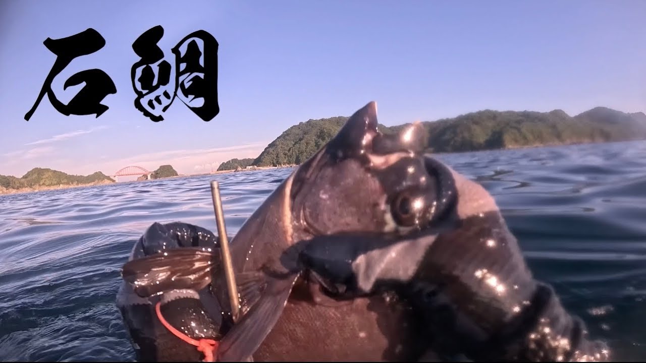 【魚突き】カワハギ2枚突き