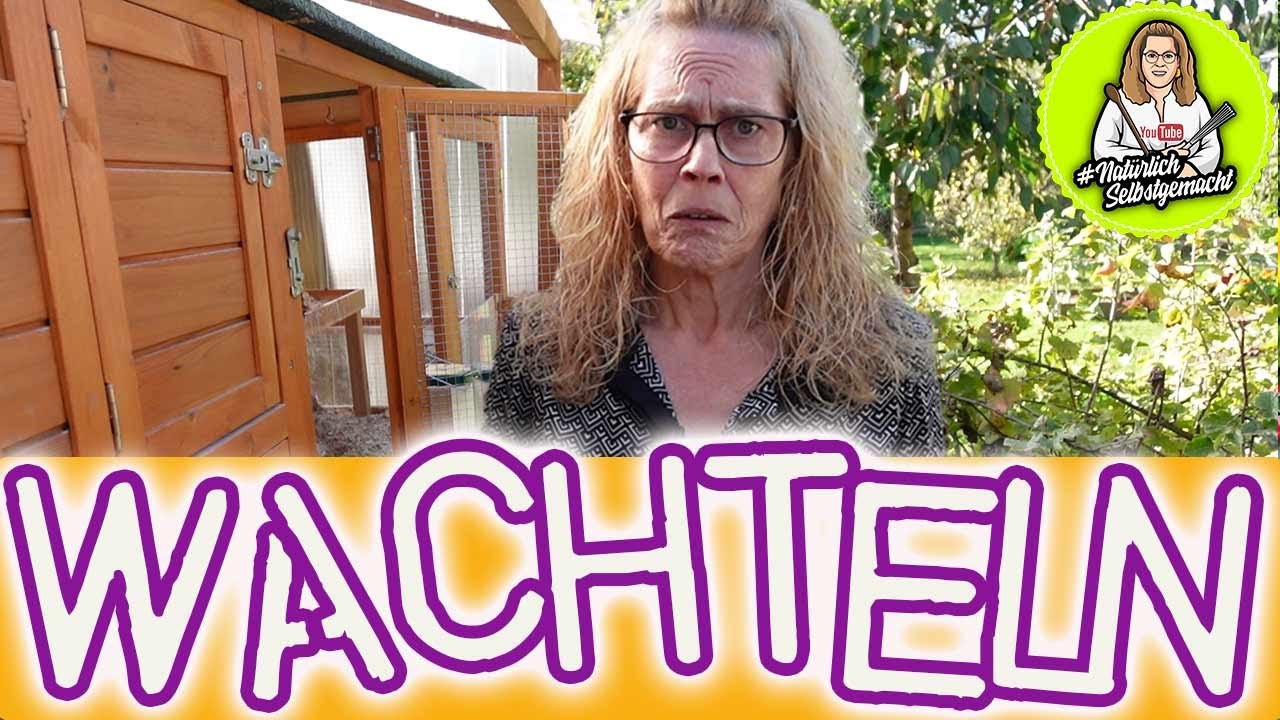 Wachteln weg? Wo sind die Wachteln? Das neue Zuhause ist bezogen, neue Voliere 😊