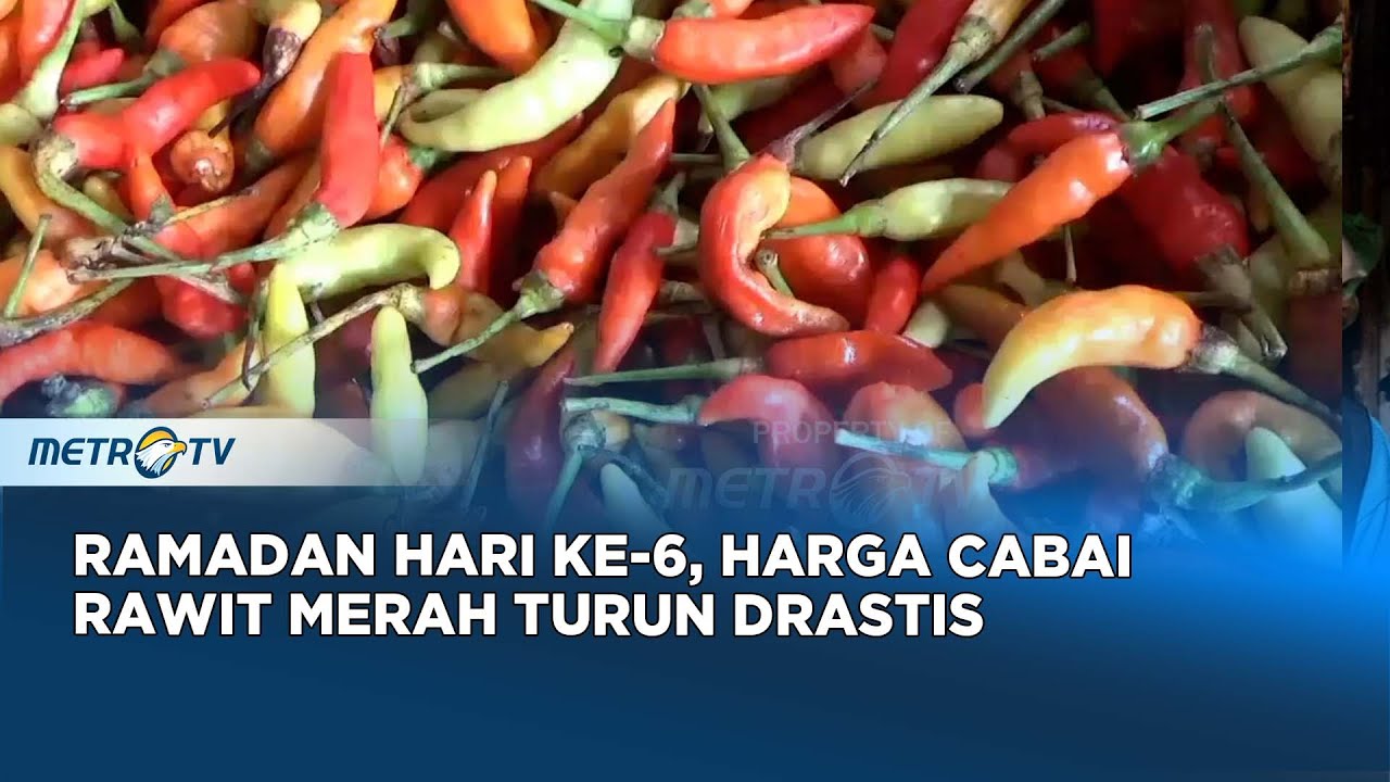 Harga Cabe Rawit Merah di Pasar Tradisional Pasuruan Mengalami Penurunan Yang Signifikan