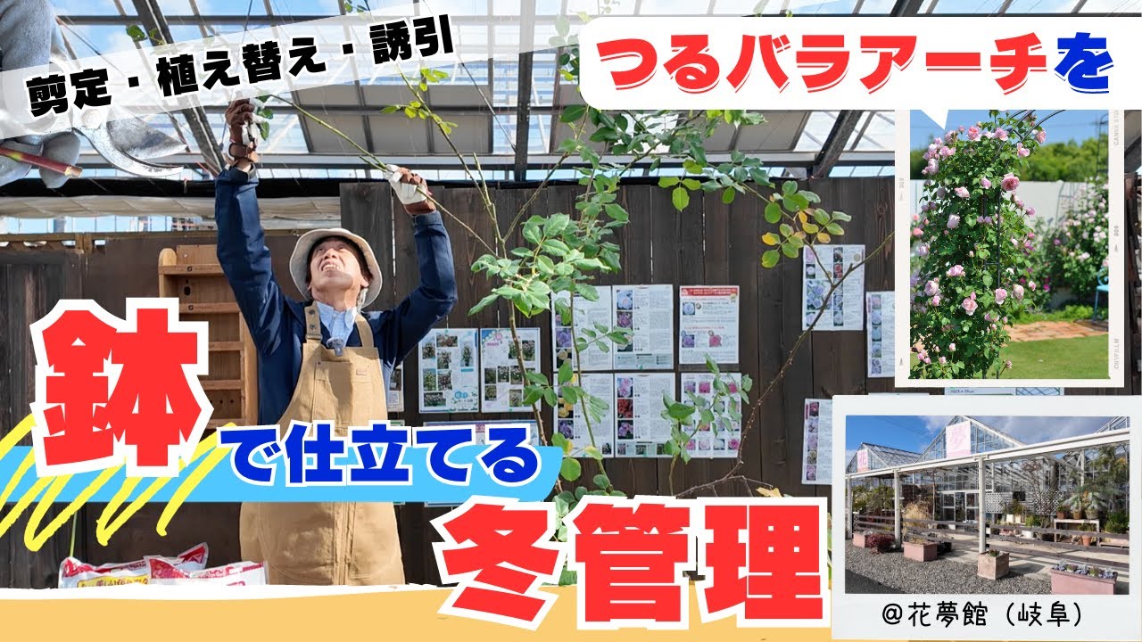 【鉢植えでバラアーチ】（剪定・植え替え・誘引）by花夢館＊竹ちゃん