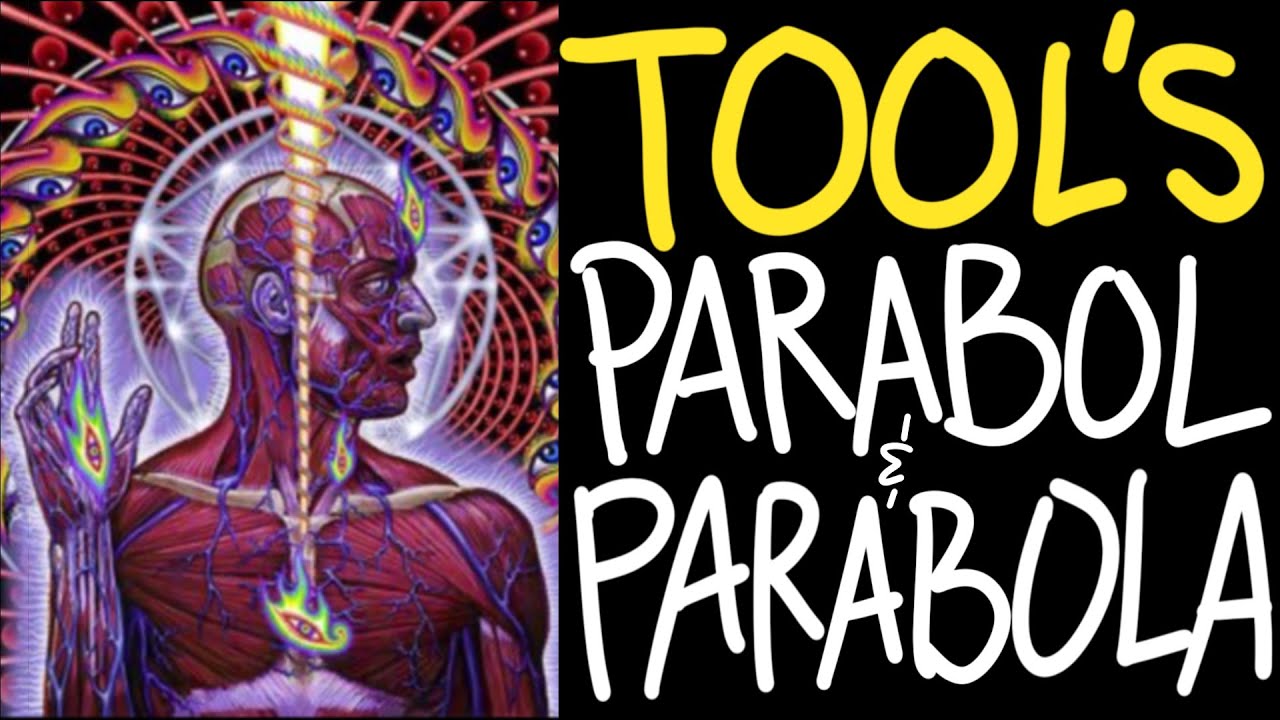 MUSICIAN ANALYZES TOOL'S PARABOL/PARABOLA (ANALYSIS AND BREAKDOWN)