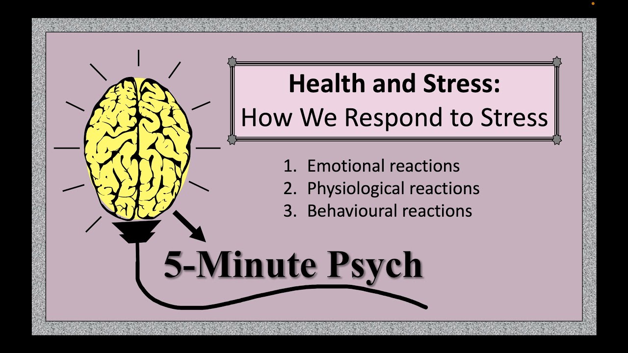 How We Respond To Stress