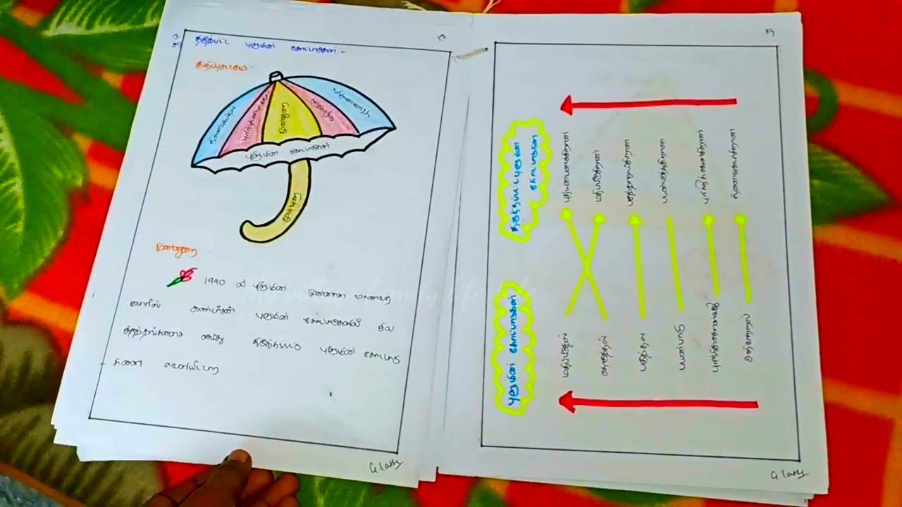 B.Ed Exam paper presentation(TNTEU) |My village family lifestyle|#bednewexampattern