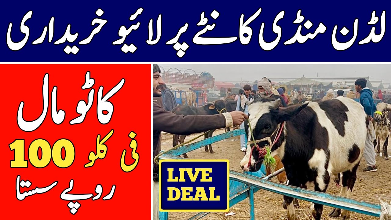 Multan Mandi Ke Taza Rates | Kantay Ka Rate Per Kg | Live Kharidari