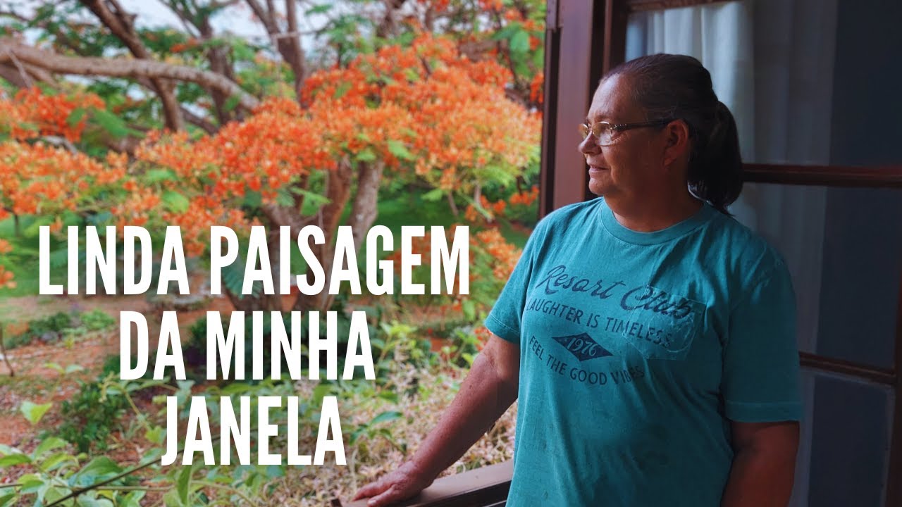 A Linda Paisagem da Minha Janela