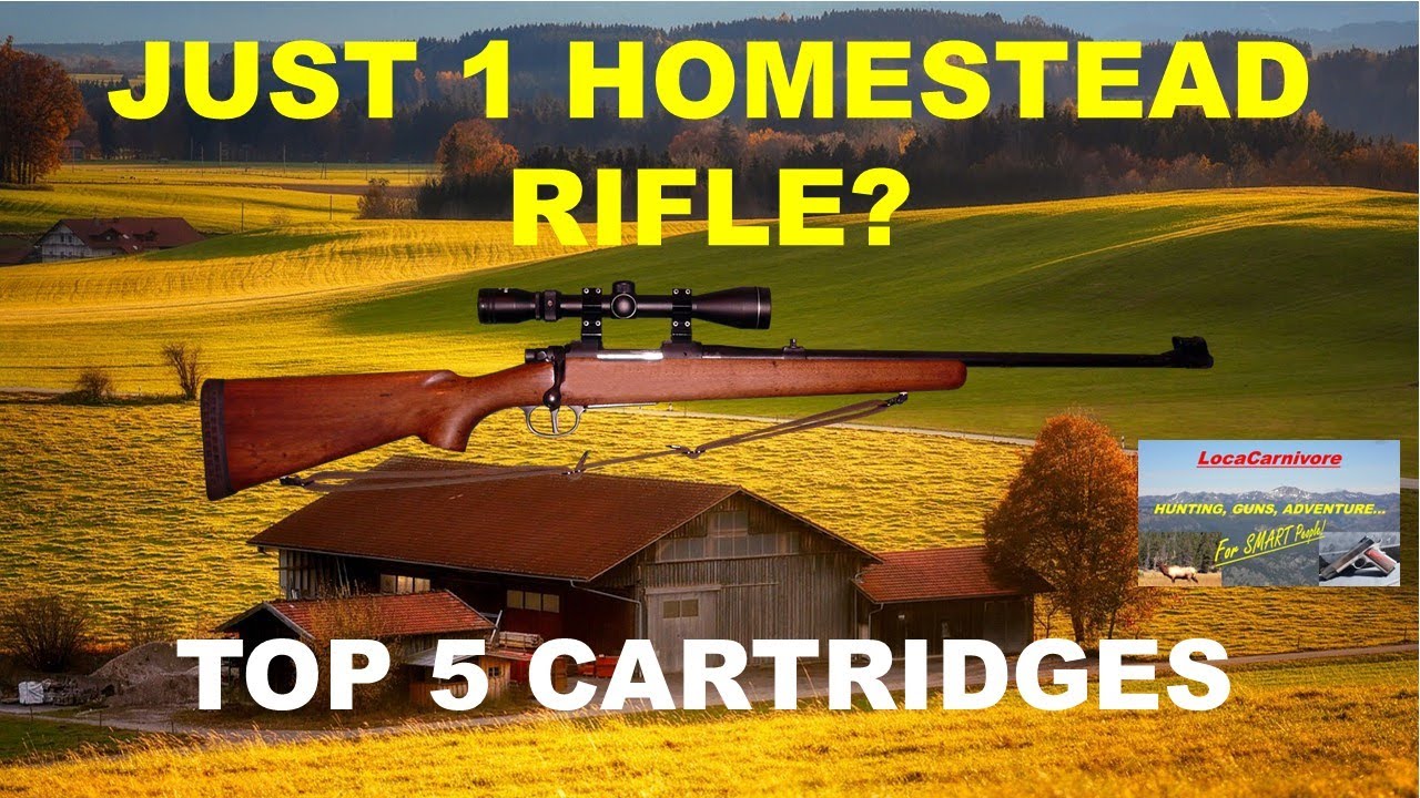 TOP 5 CARTRIDGES For Your 1 HOMESTEADING RIFLE