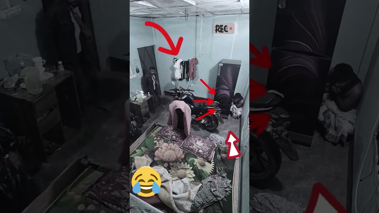 #funny #catusa #funny  CCTV 🎬 FOOTAGE Bat whoy, hot 🔥🔥🔥🔥🥵🥵