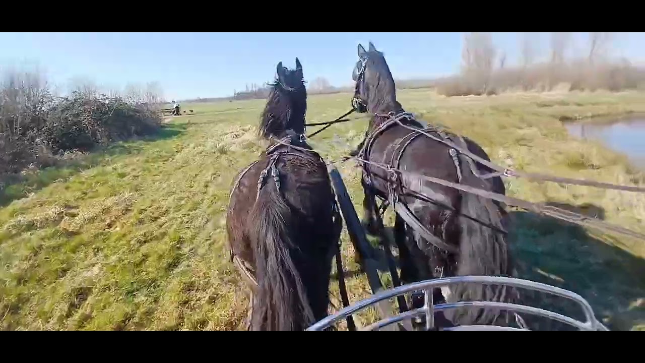 Trainen in het gras,