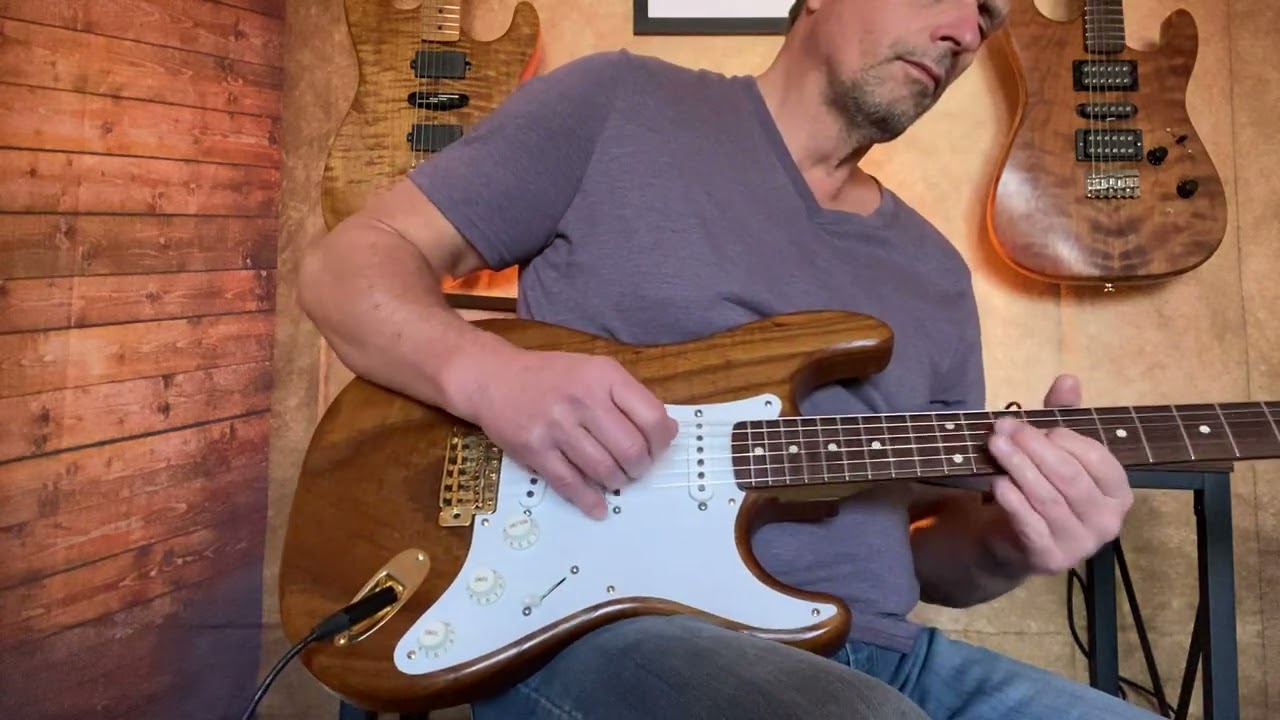 Warmoth roasted ash/roasted maple neck. Dimarzio HS-2 and HS-3 Bridge.