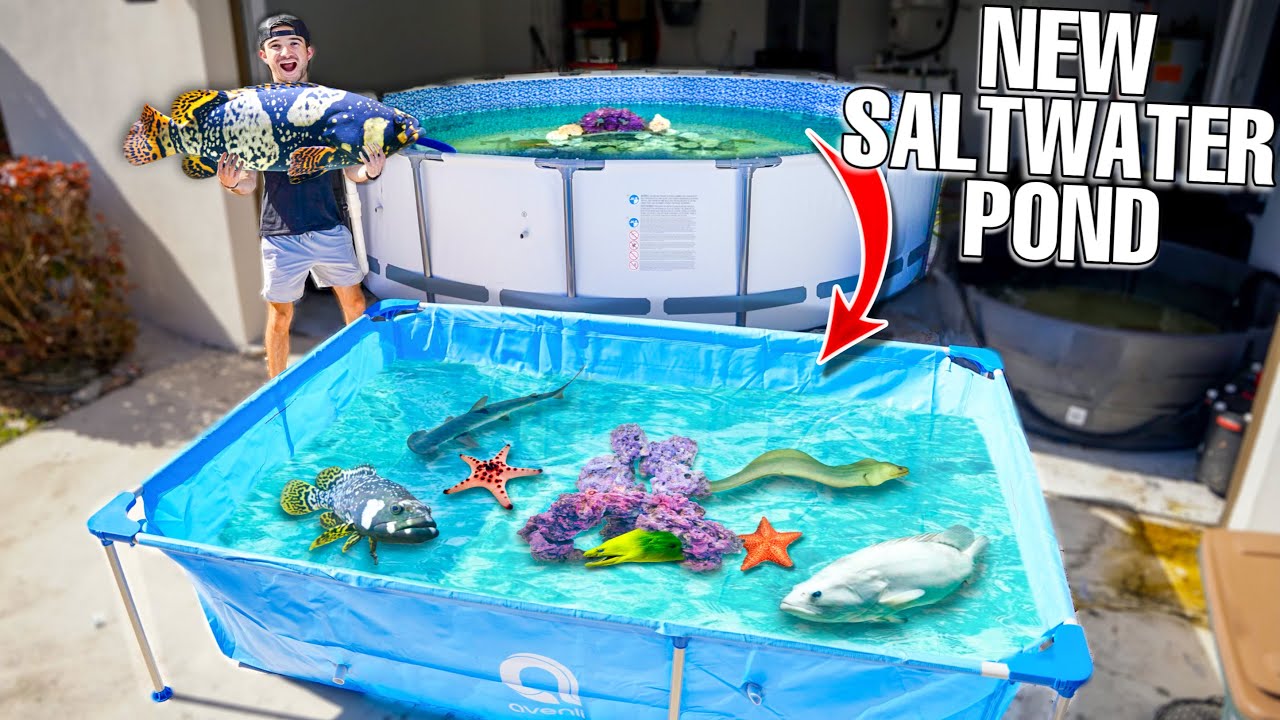 Saving FISH Living In ABANDONED SALTWATER POND!