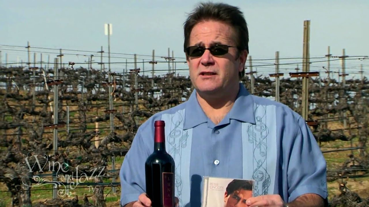 Wine and Jazz TV #6: Luna Vineyards & Peter Cincotti