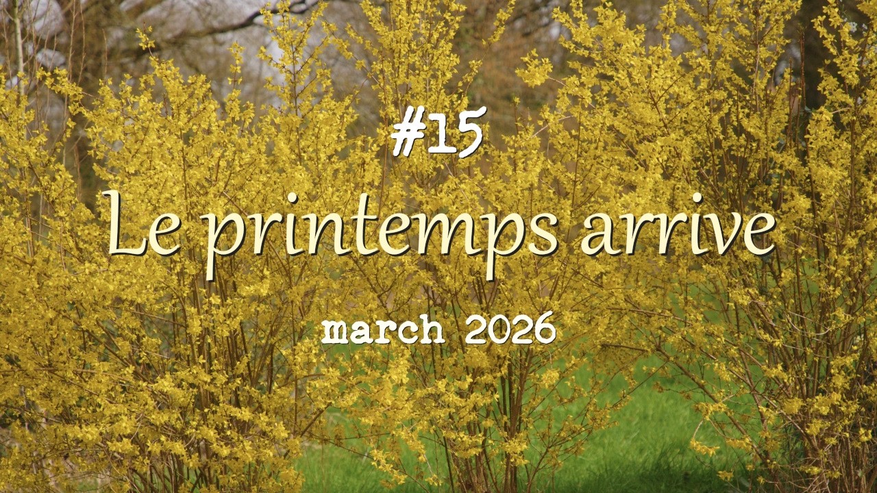 #15 Le printemps arrive - Spring is coming!