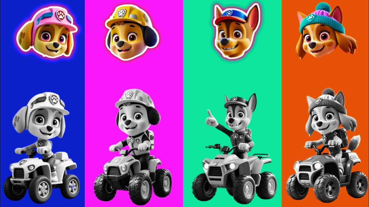 PAW Patrol Chase Is On Wrong eyes the Case Rescues!/ Skye & Marshall |DAME TU COSITA Wrong Heads