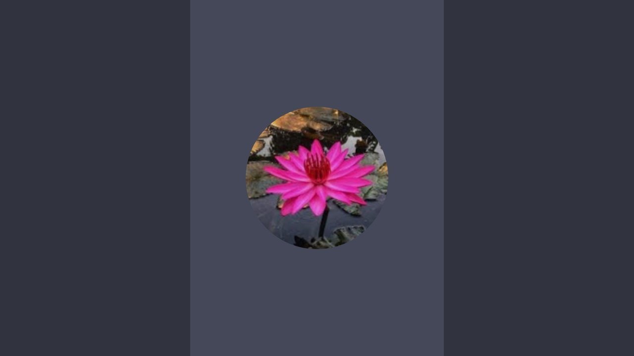 Nature's world with me..🕊️ is live എല്ലാരും evidaa🤔