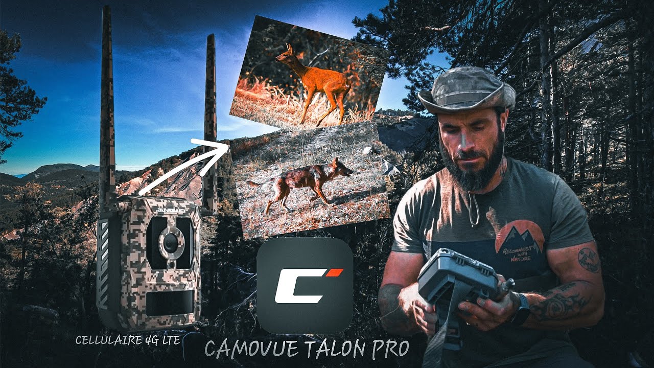 Je pars tester la nouvelle caméra de chez Reolink et je vous partage quelques merveilles !! 