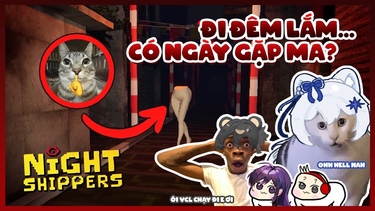 🐱 [ NIGHT SHIPPER ] ĐI SHIP ĐÊM LẮM CÓ NGÀY GẶP MA?