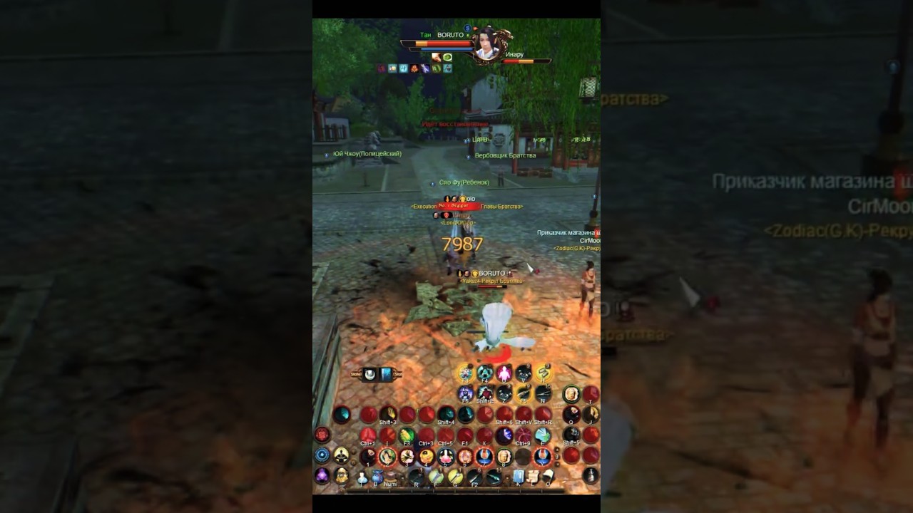 Age Of Wushu: Combo For Snitch 