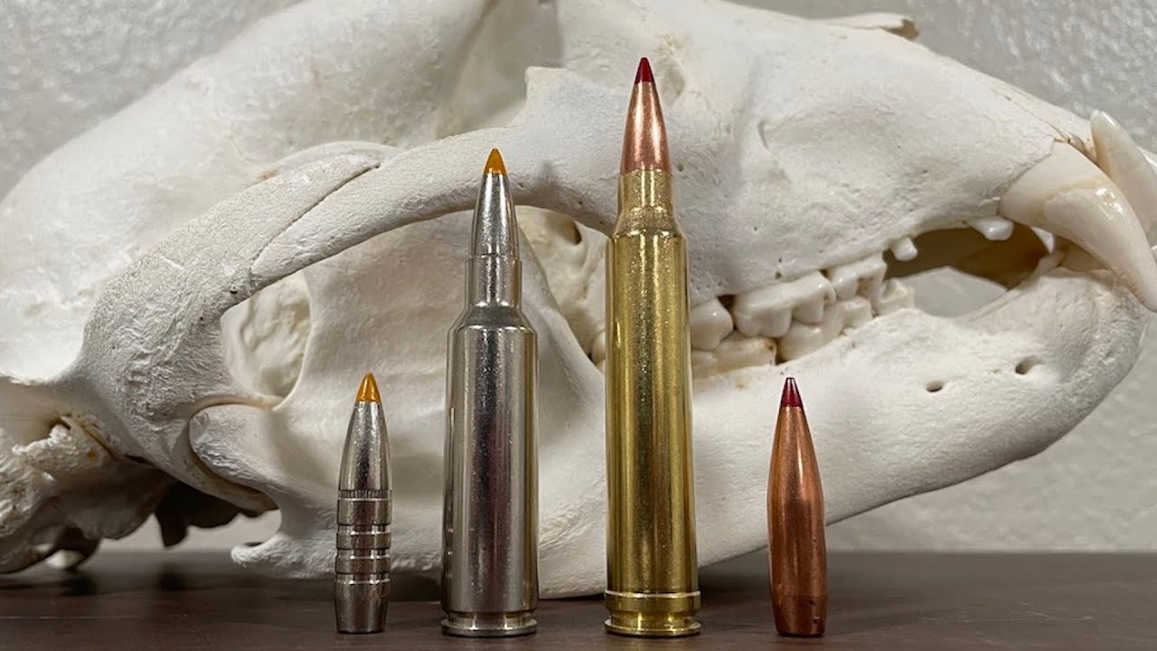 Сравнение 300 WSM и 300 Win Mag