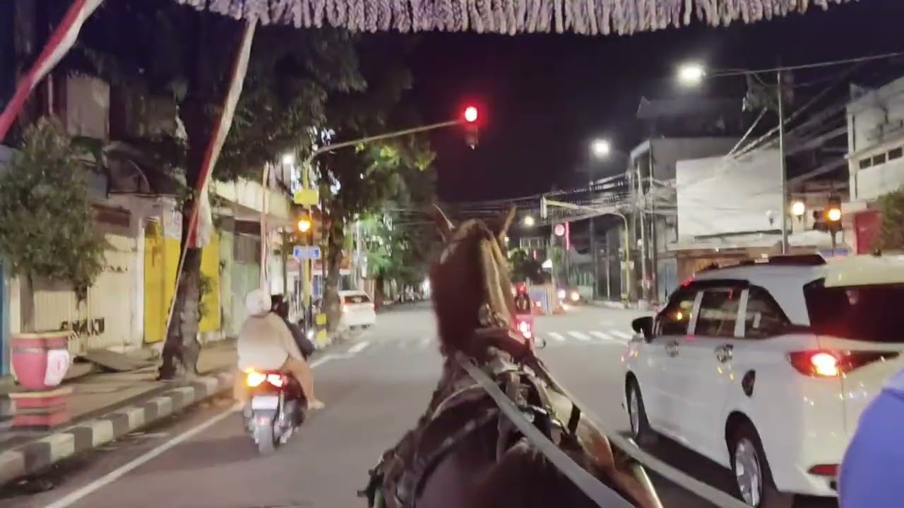 Amazing !!! Keindahan Aloon-aloon Kota Blitar Malam Hari. #liburan #kotablitar #hiburan 