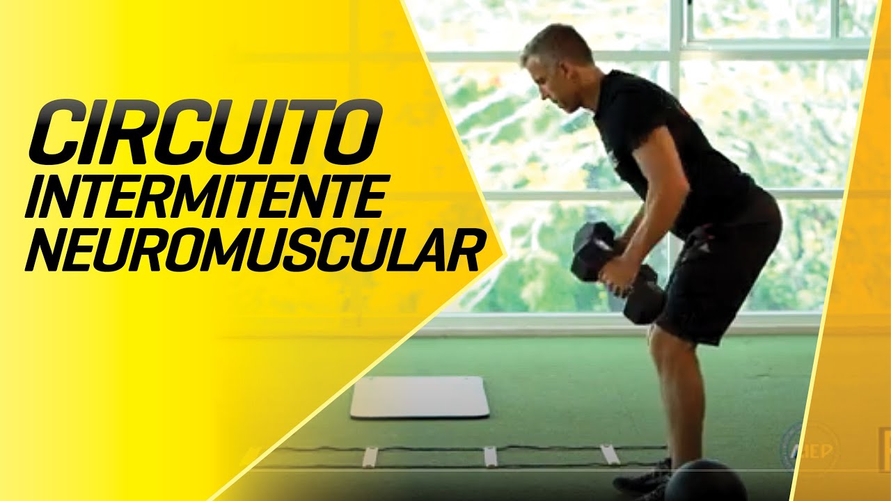 CIRCUITO INTERMITENTE NEUROMUSCULAR
