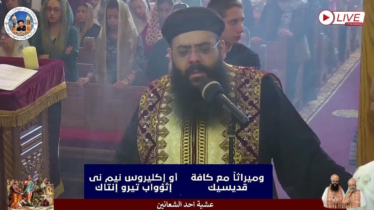 عشية احد الشعانين - ابونا رويس فريد