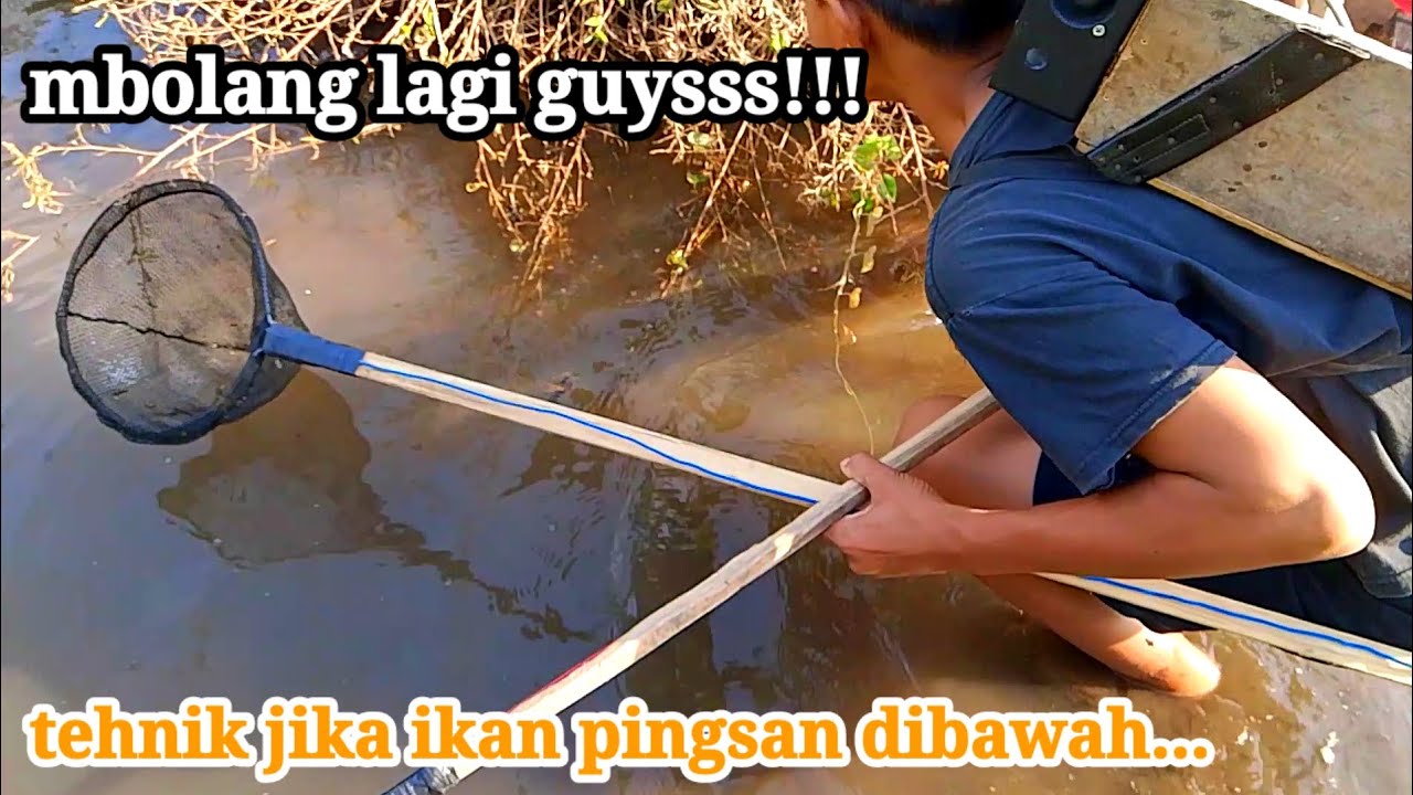 UJI TES SETRUM PDC 4 FET JUMBO HASIL SERVISAN