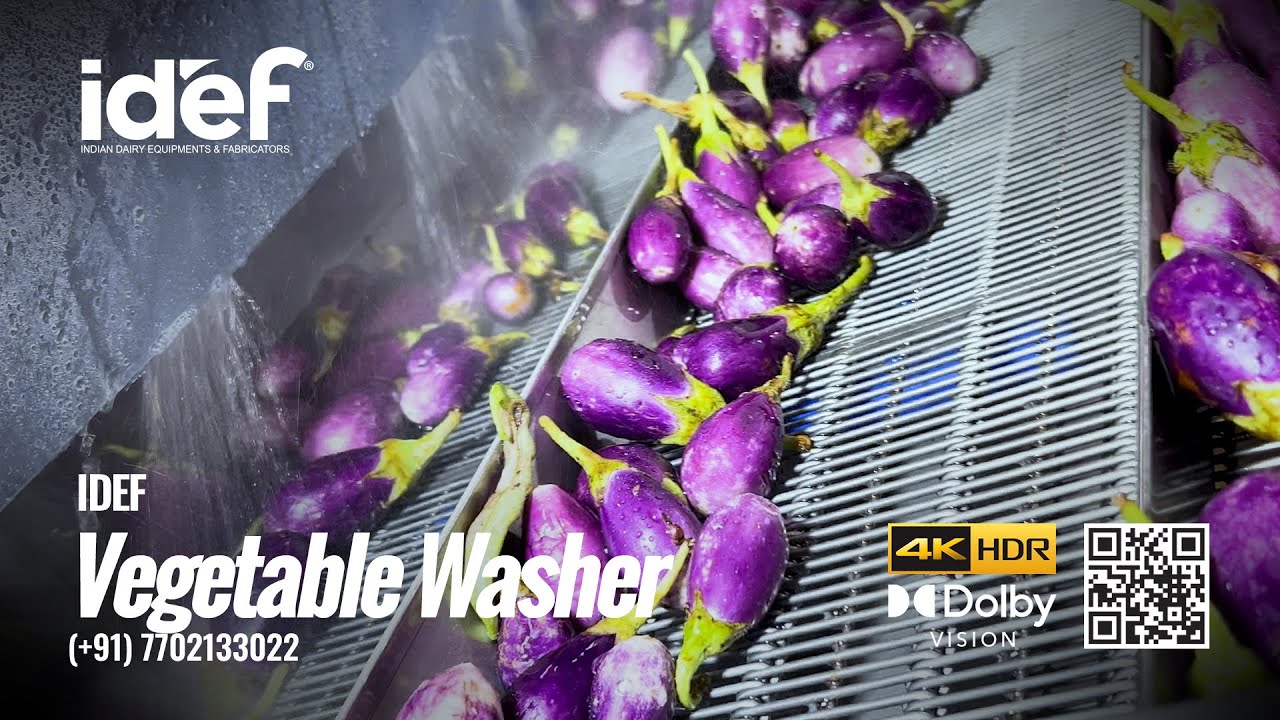 Vegetable Washer, Bubble Washer