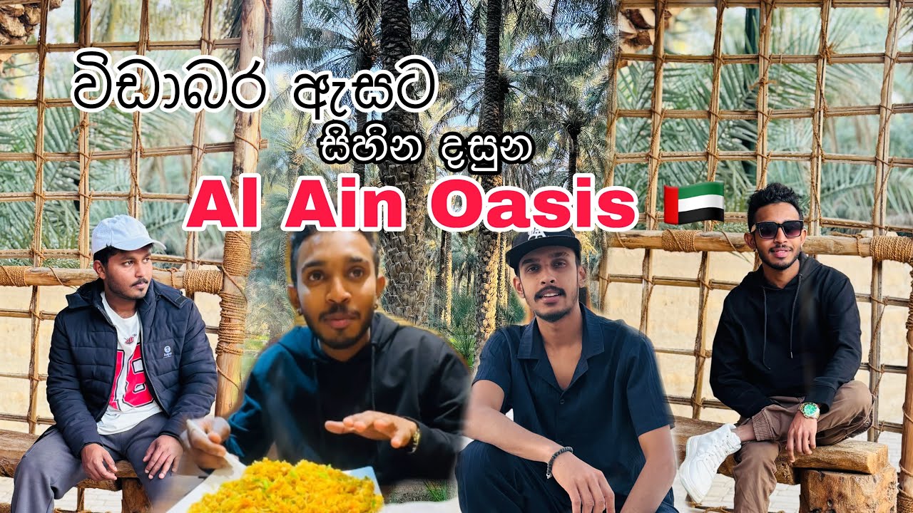 සිහින දසුන 🌴☘️🍃| Alain Oasis | Vlog 21| #travel #lifeisbutadream #beautyofnature #youtuber #leatest 