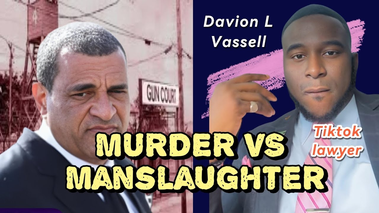 MELISSA SILVERA: Tiktok Lawyer Davion L Vassell Explains...