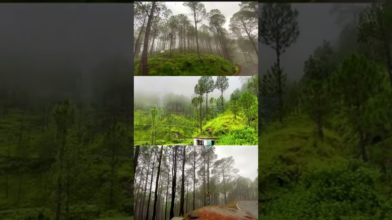💕The Beauty of Nature 💕 #explore #adventure #india #ride #shorts #travel #trending #youtube #tour