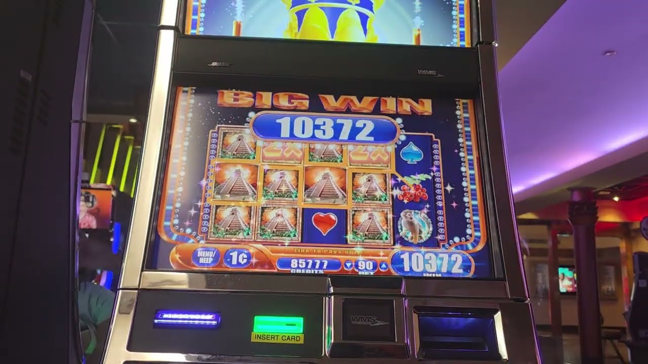 Jungle Wild 3 - .90 Cent Bet - Mega Big Win