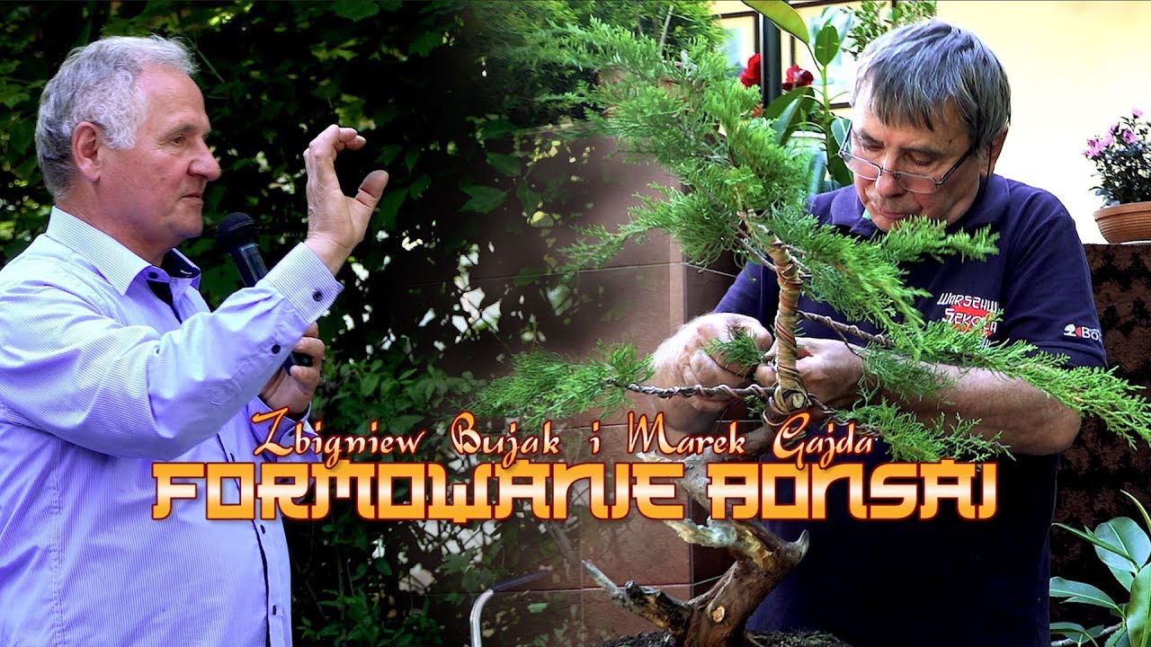 Zbigniew Bujak i Marek Gajda - FORMOWANIE BONSAI