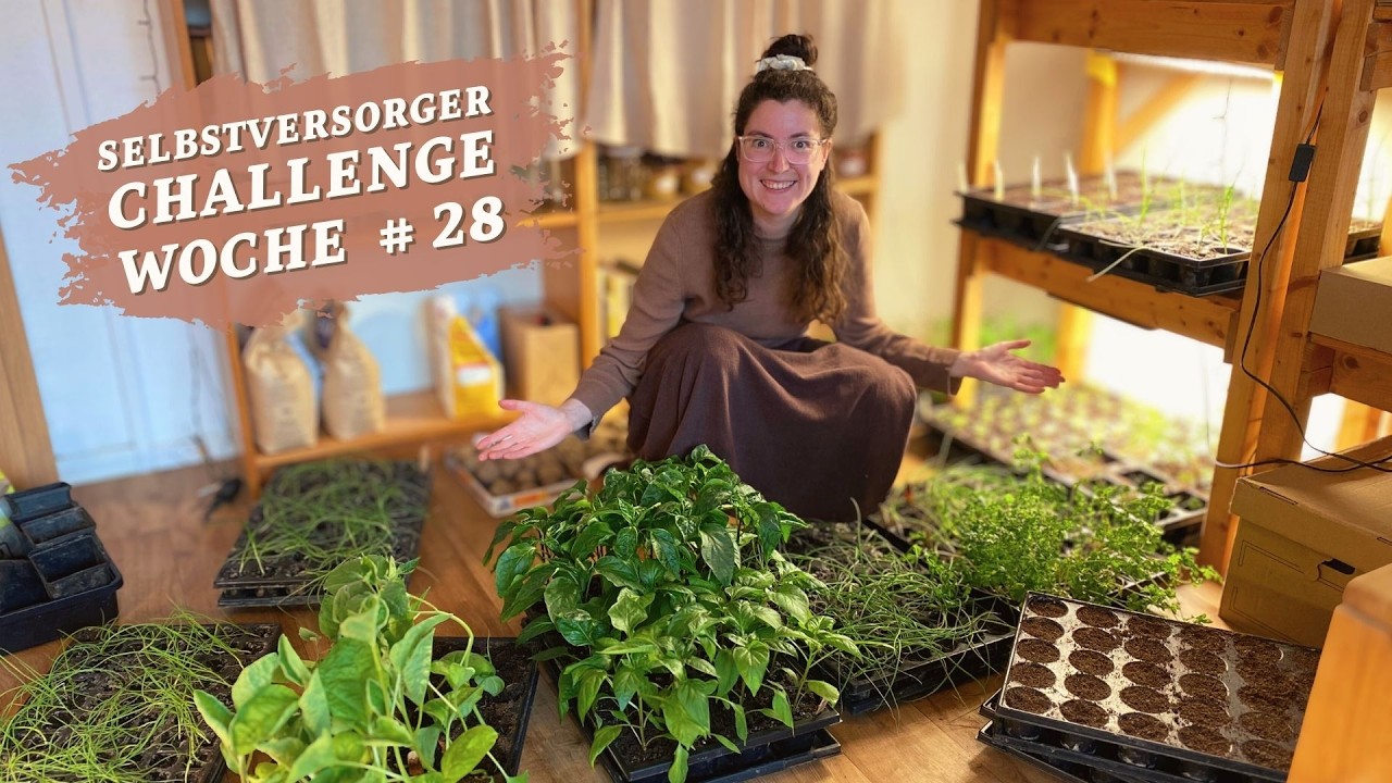 Selbstversorgerin in der Wohnung - alles steht voll! Woche #28 Selbstversorger Challenge