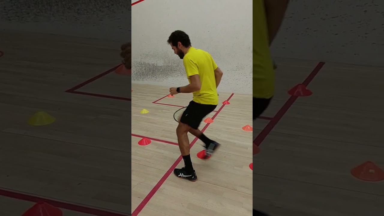 Dr Mohamed El Dafrawy with World champion Karim Abdel Gawad