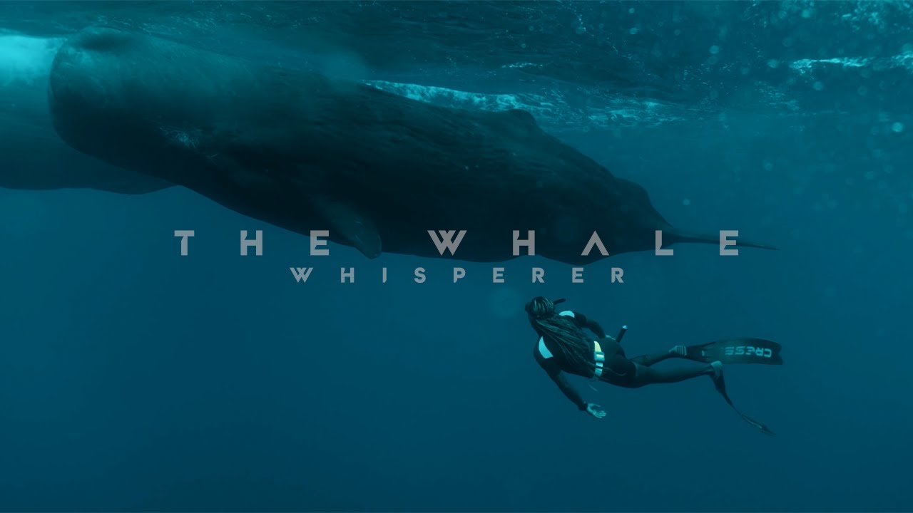 The Whale Whisperer of Mauritius | Short Film