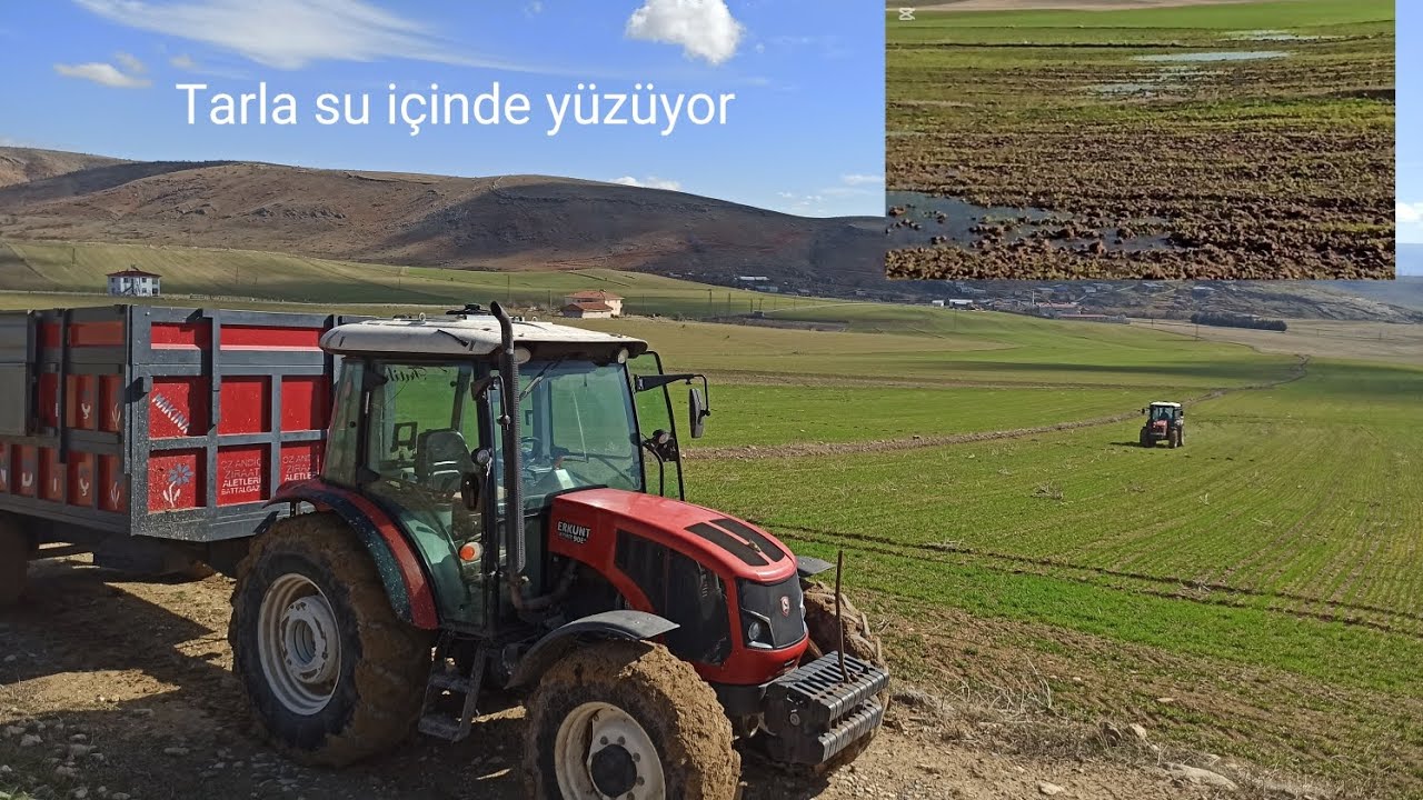 Piyasaya gübre atıyoruz / Sizce gübre atmak için erkenmi